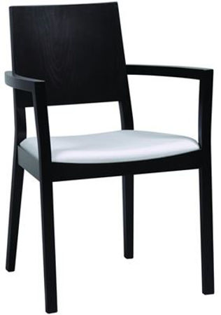 Picture for category Arm Chairs