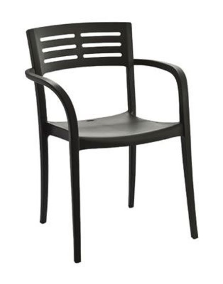 Picture of VOGUE Dining Armchair 