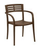 Picture of VOGUE Dining Armchair 
