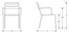 Picture of EMU STAR ARM DINING CHAIR