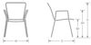 Picture of EMU KHALI ARM DINING CHAIR