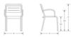 Picture of EMU URBAN ARM DINING CHAIR