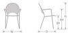 Picture of EMU SOLE ARM DINING CHAIR 