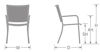 Picture of EMU PODIO ARM DINING CHAIR 22 A/ Iron