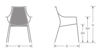 Picture of EMU VERA ARM DINING CHAIR