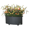Picture of EMU OVAL PLANTER