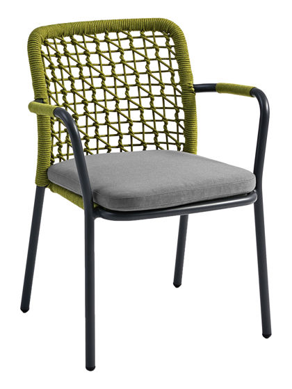 Picture of BANYANTREE DINING ARMCHAIR