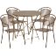 Oia Commercial Grade 30" Round Gold Indoor-Outdoor Steel Folding Patio Table Set with 4 Round Back Chairs CO-30RDF-03CHR4-GD-GG